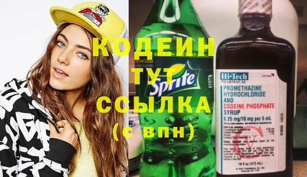 твердый Дмитровск