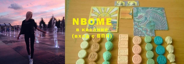 твердый Дмитровск