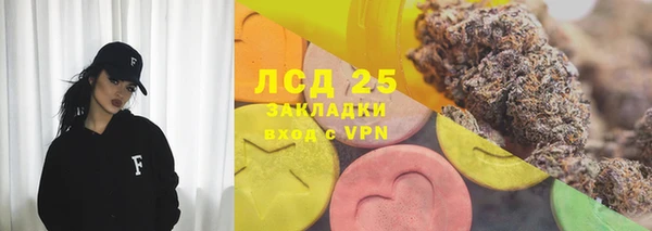 твердый Дмитровск