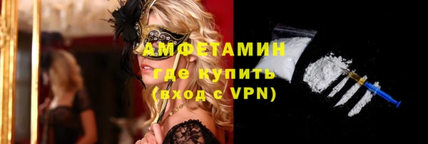 твердый Дмитровск