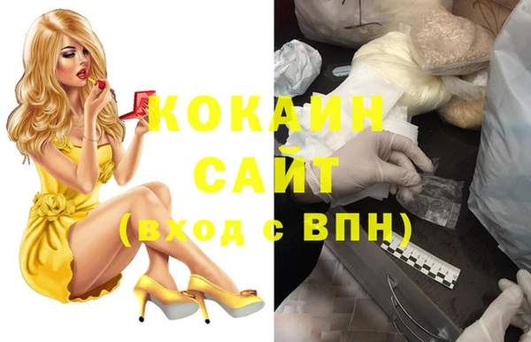 твердый Дмитровск
