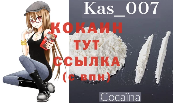 твердый Дмитровск