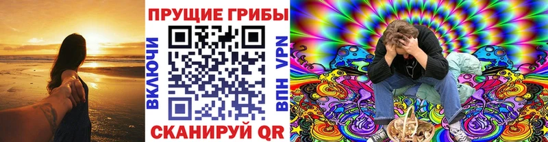Купить закладки  Кольчугино  Псилоцибиновые грибы Psilocybe 